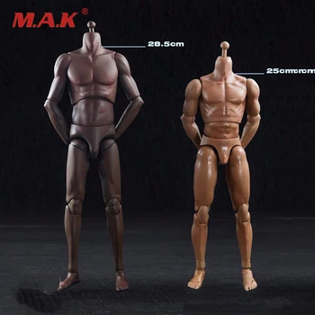 

Suntan/Skin Color Male Action Figure Model Toys 1/6 Scale Super Sports Mascular 12 Inches Man Body Collections