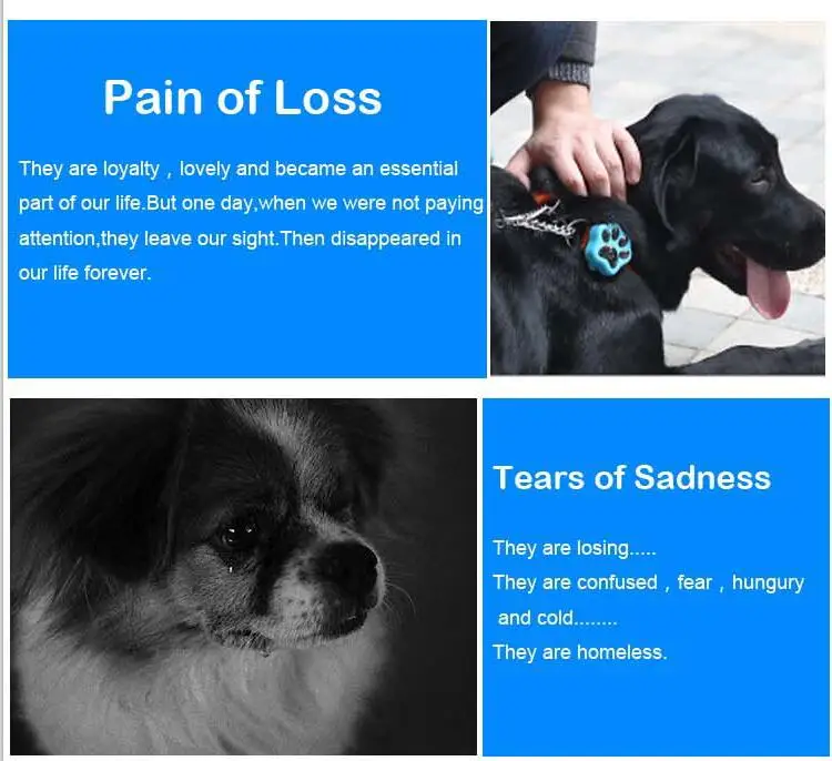gps tracker dogs 2