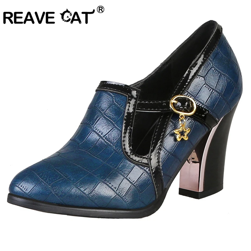 cat shoes size