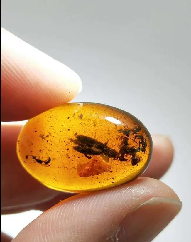

Cretaceous big beetle wasps burmite Untreated Myanmar Amber insect 100 million year lynx stone for mens women jewelry accessory