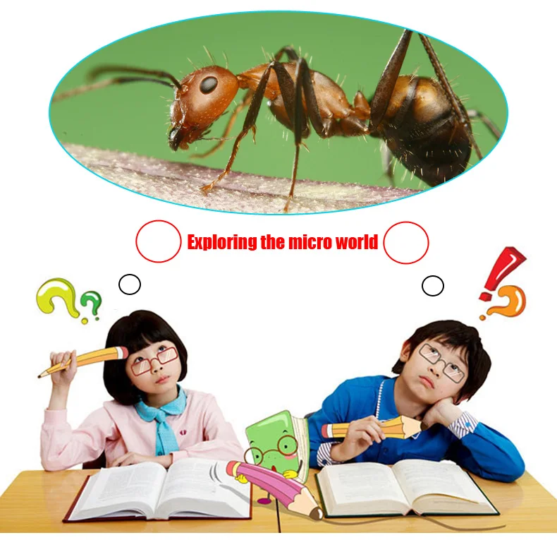 TB2Owfdj4dkpuFjy0FbXXaNnpXa_!!1660959179