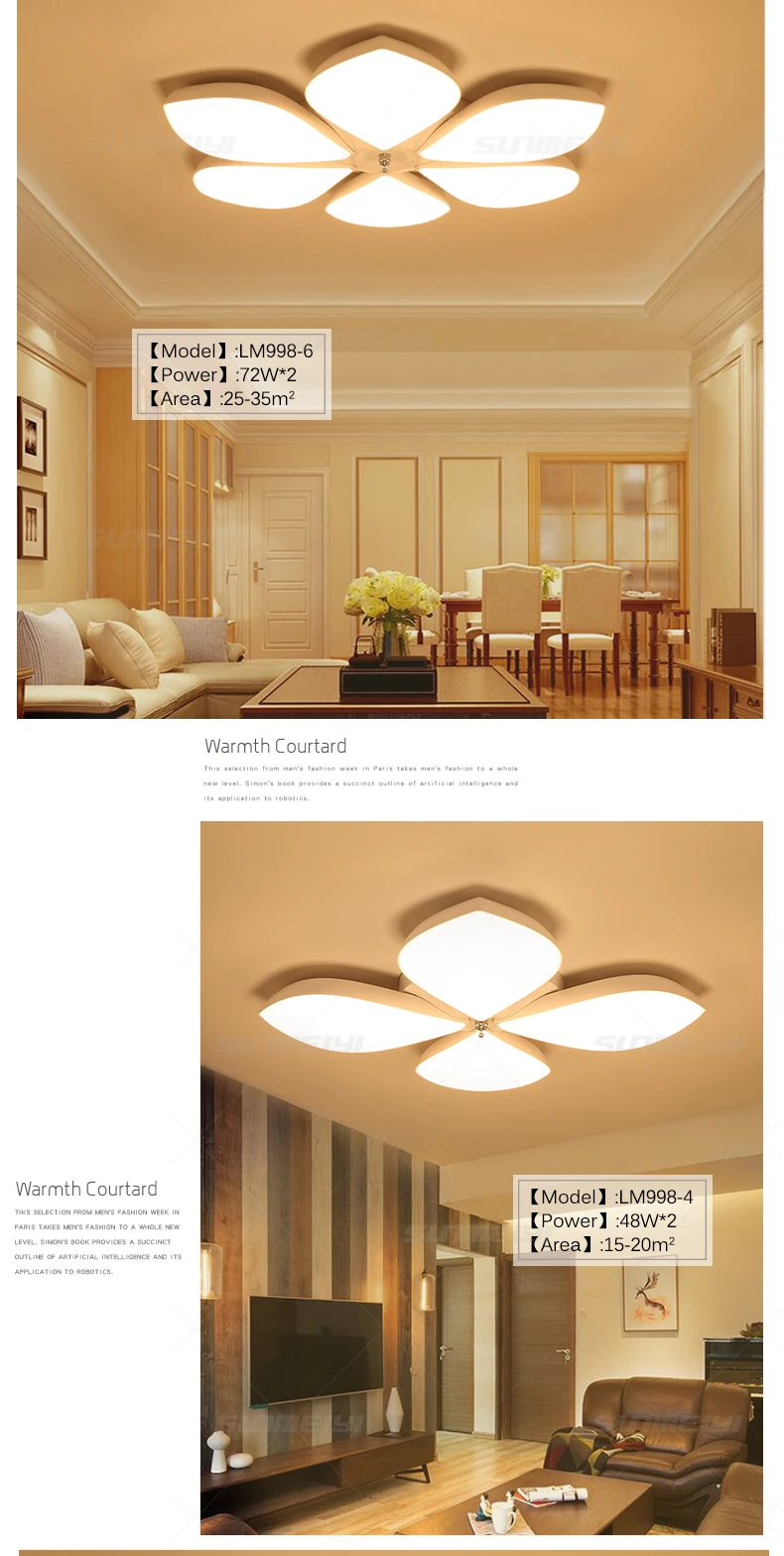 Ceiling Lights02