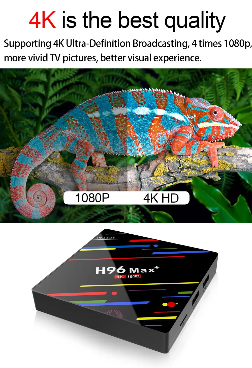max+4+64_10