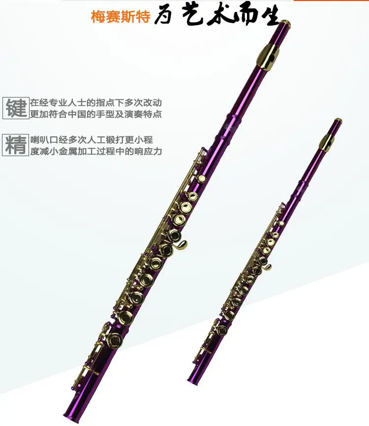 Buy Metal Purple Flute Playing Flute C Key FL 510R