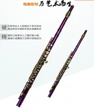 Metal Purple Flute Playing Flute C Key FL-510R Flauta Detachable Oves Gold Plated Chinese Folk Instrument
