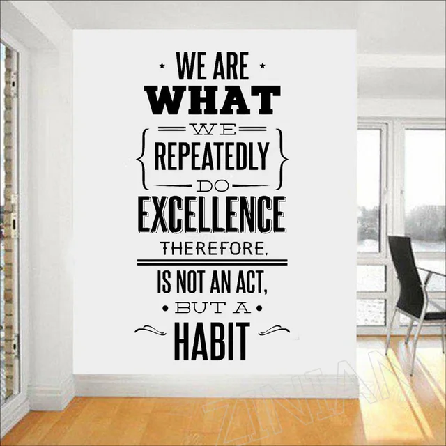 we are what we repeatedly do wall decal quotes office education