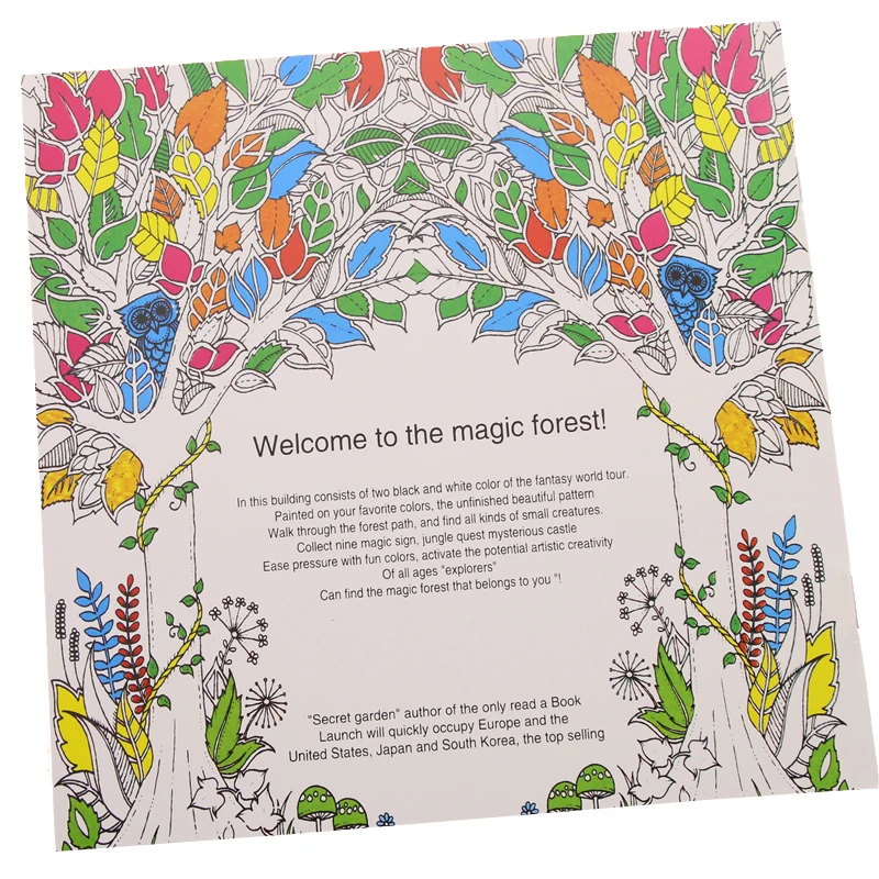 24 Pages Enchanted Forest English Edition Coloring Book For Children Adult Relieve Stress Kill Time Painting Drawing Book 24 Pages Enchanted Forest English Edition Coloring Book For Children Adult Relieve Stress Kill Time Painting Drawing Book