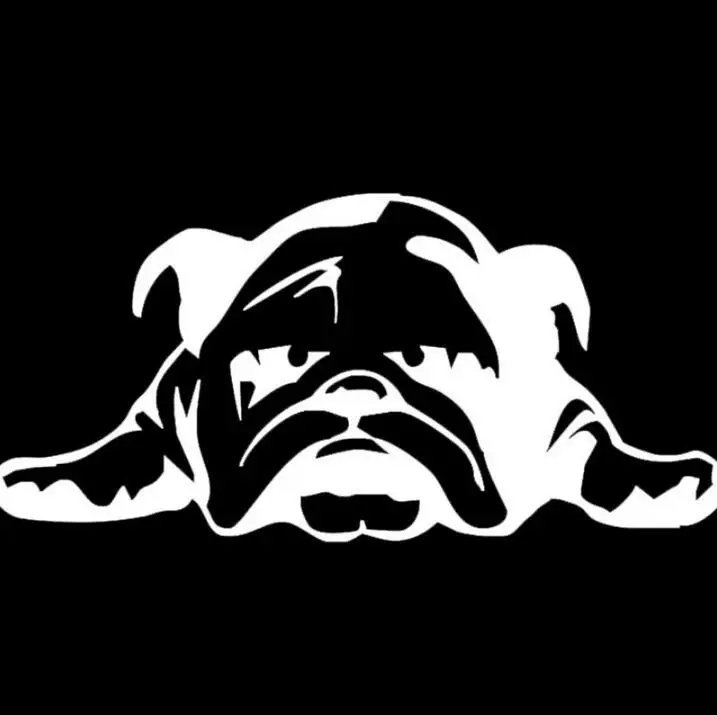 Tool 11x23cm Car Sticker ENGLISH BULLDOG TIRED PUPPY DOG Pattern Car Window Body for Vehicel SUV Boat Motorcycle Glass Laptop