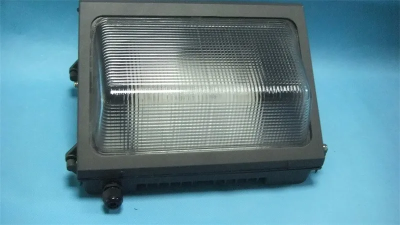 DSCF1180