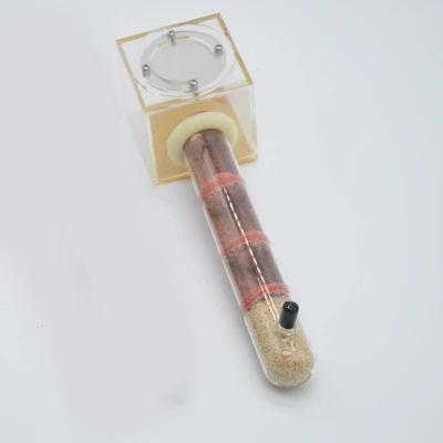 2018 Hot Bamboo Shape Glass Tubes Ants Nest 15-18-20-25-30MM For Pet Queen Living New Born Baby Habitats Gifts Toy | Дом и сад