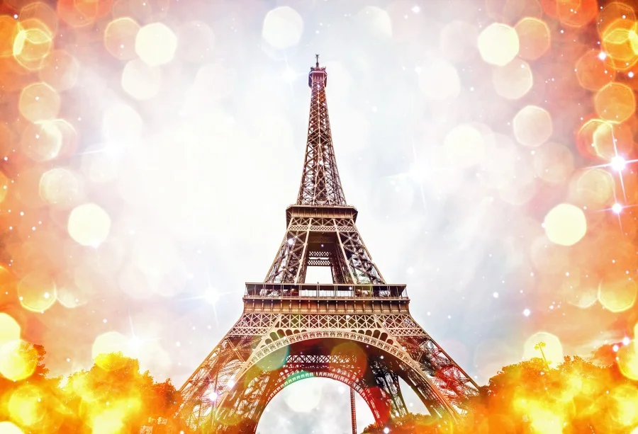 Laeacco Effier Tower Light Bokeh ребенок новорожденный портрет фотографический фон