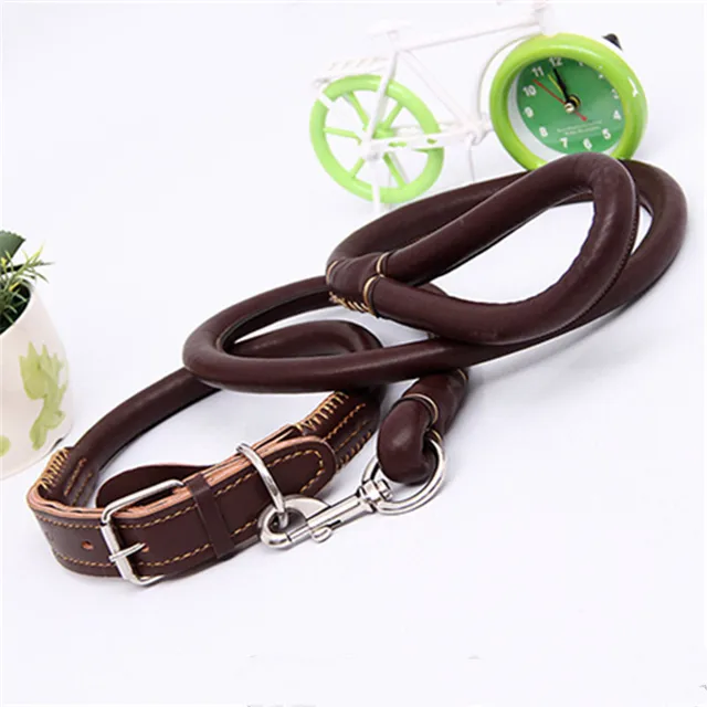 New Pu Leather Dog Collar Strong Bite Prevention Necklace with Traction Rope for Small and Medium Dog Pet Collar Accessories