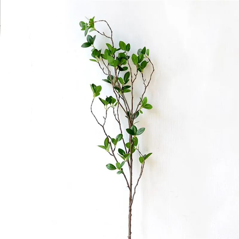 green plants (4)