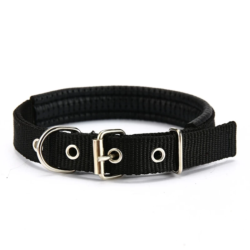 dog collar for dogs (3)
