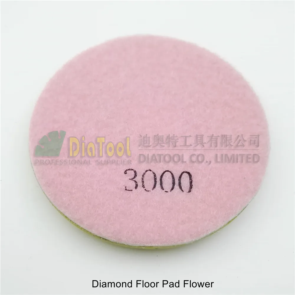 DIATOOL 12pcs 100mm#3000 diamond floor sanding disc Flower type 4" Resin bond diamond floor renew polishing pads