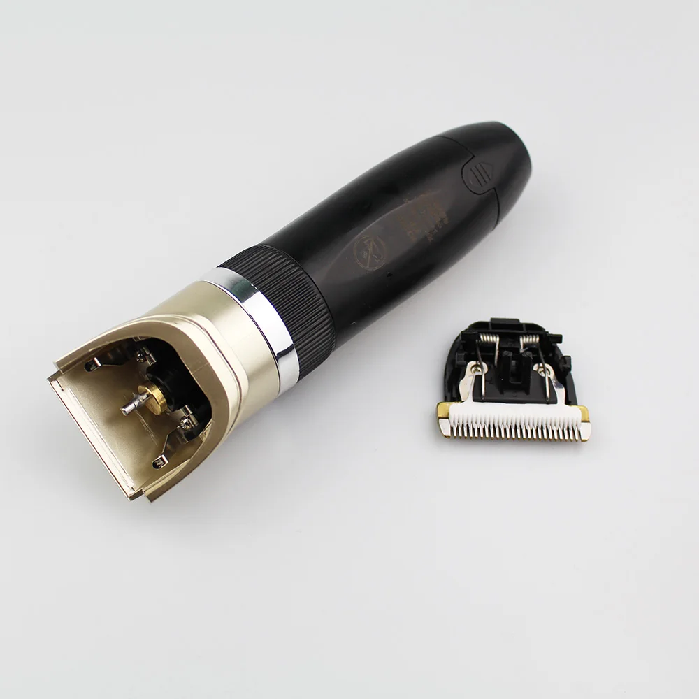 9577-cc5d3d.jpg