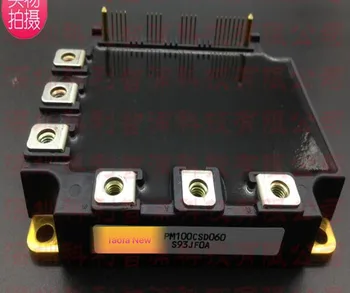 

100%New and original PM100CSD060