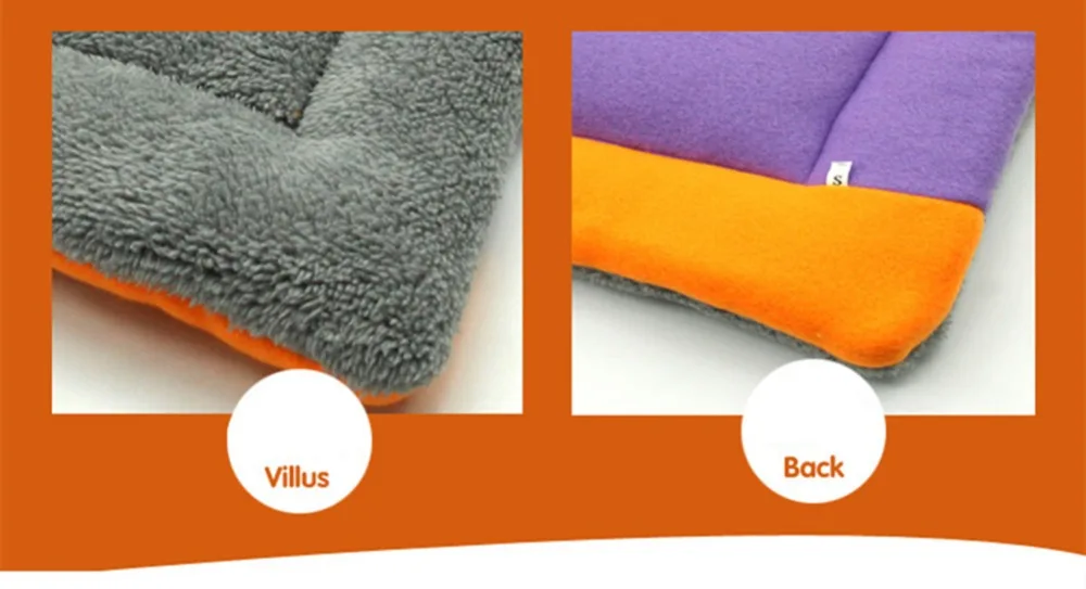 8025989137_1756254533