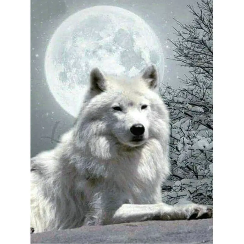 

Full Square Diamond Embroidery pattern 5D Diy Diamond Painting Cross Stitch Kits rhinestone Mosaic white wolf moon puzzle arts