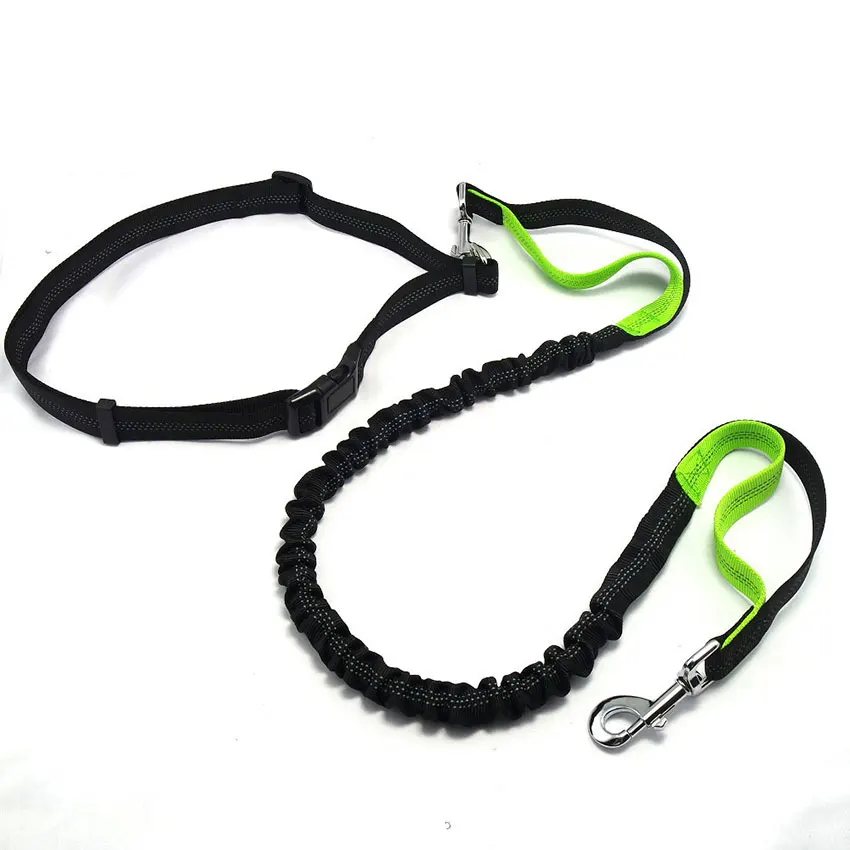 elastic force dog leash