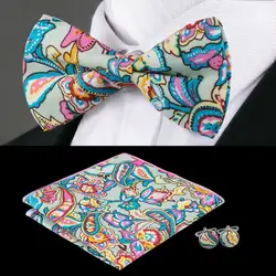 LF-676 Барри. ван Для мужчин бренд Регулируемая печати красочные галстуки Hanky запонки наборы для Для мужчин Формальные Свадебная вечеринка