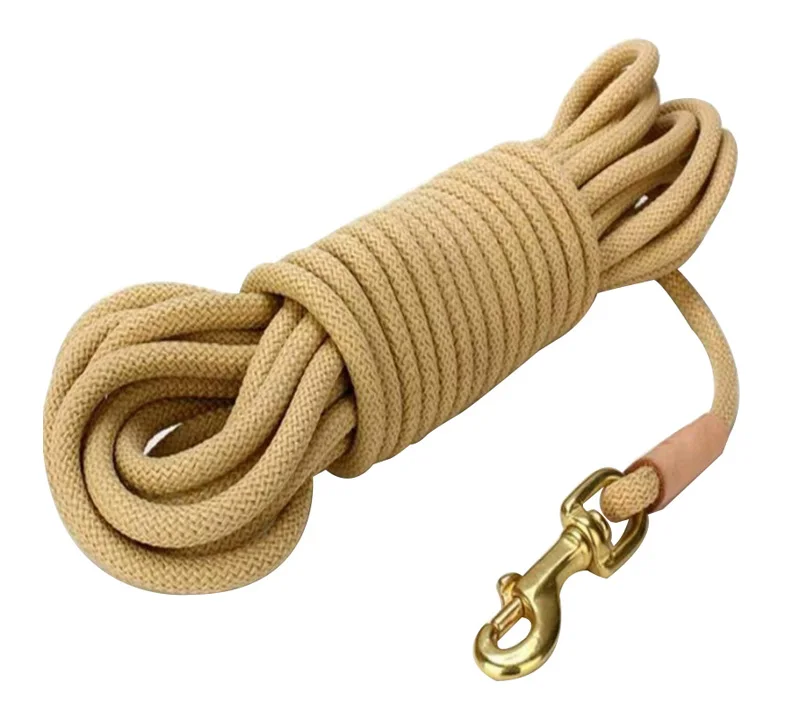 dog leash-
