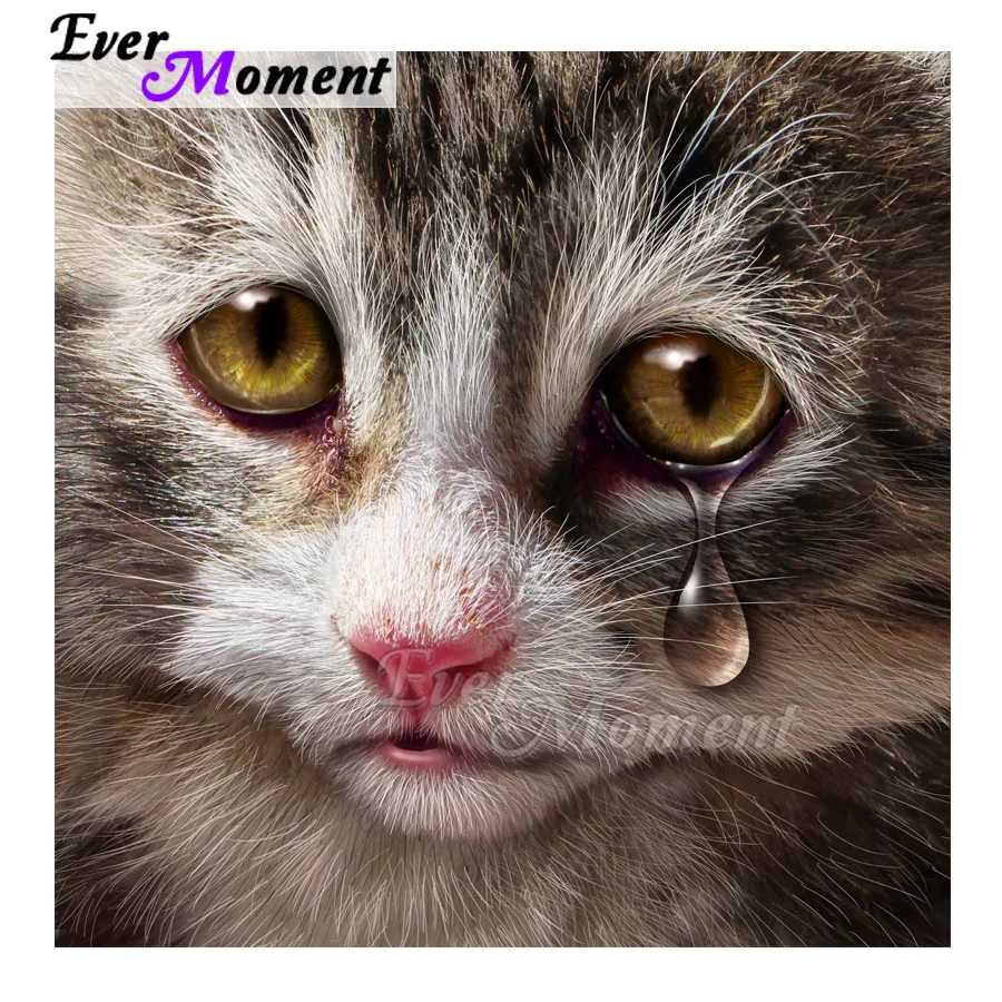 

Ever Moment Diamond Painting Sad Cat Tear Full Square Drill Picture Of Rhinestone Diamond Embroidery Decoration Hobby S2F2280