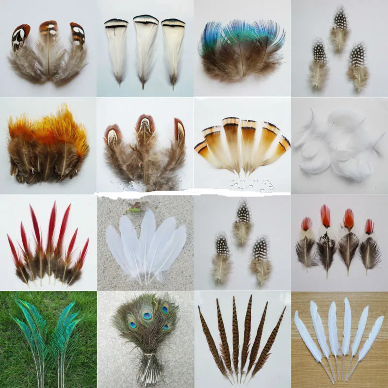 

New! 20pcs kinds of many Beautiful Natural Pheasant Feathers Plume Jewelry Christmas Holiday Decoration