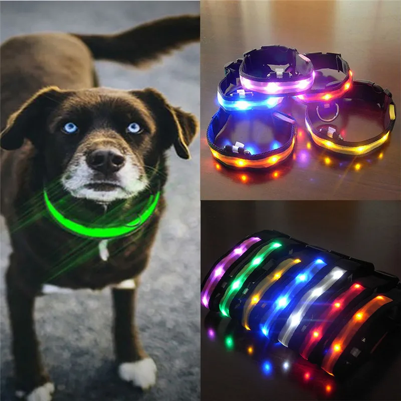 Buy LED Nylon Pet Dog Collar Night Safety Glow