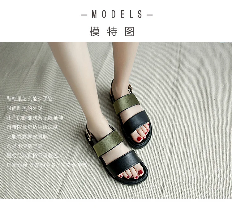 880-8_18.jpg