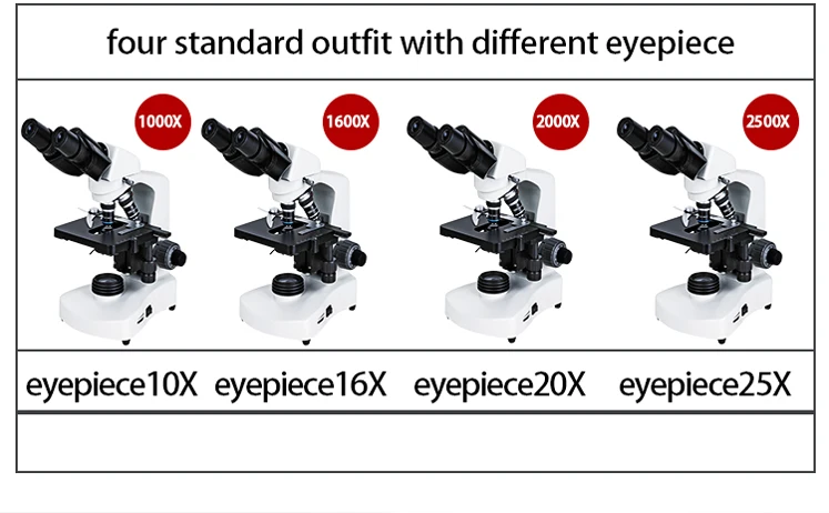 Microscope binocular