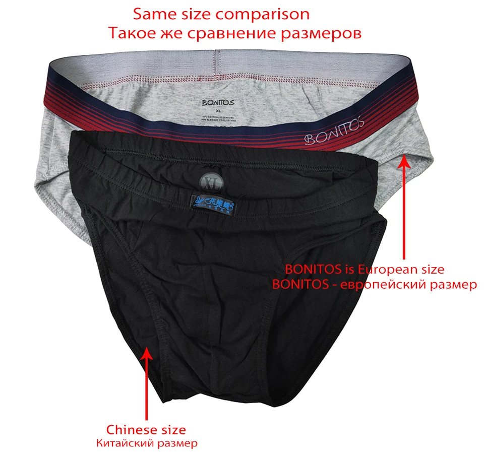 briefs 