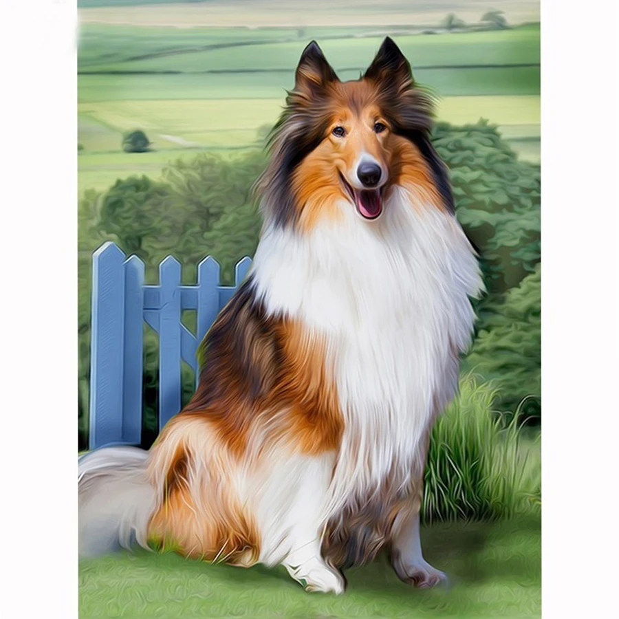 

5d DIY Diamond Painting Collie Pet Dogs,full Diamond Embroidery Full Square Mosaic Cross Stitch,almaznaya,Home Decorative C486