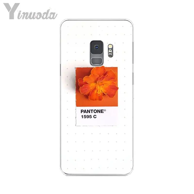 Pantone Candy Color Flower