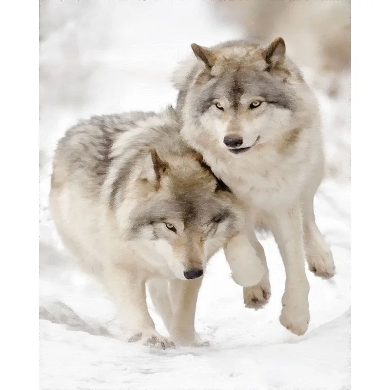 

DIY Frameless Two Snow Wolves Oil Painting By Numbers Landscape Pictures Canvas Painting For Living Room Wall Art Home Decor