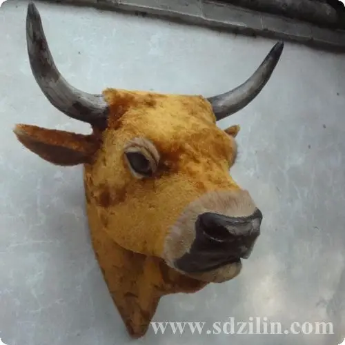 

Simulation ox head decor , very vivid , ideal as shop or home decoration