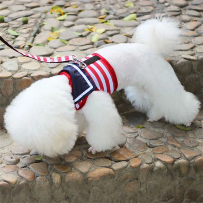 chihuahua dog accessories (5)