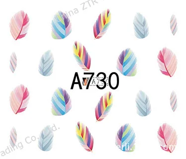 2991243925_2031802831