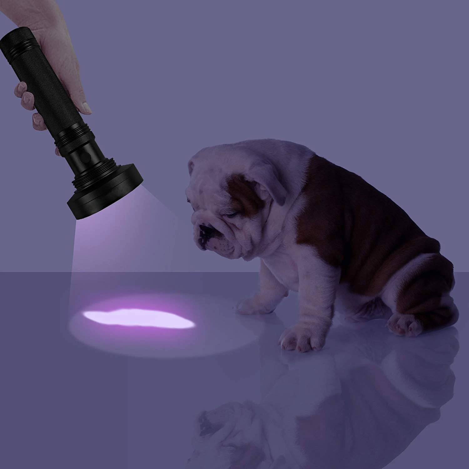 UV Flashlight 100LED Ultraviolet Handheld Flashlight Torch, Pet Urine Detector For Dog and Cat Urine Home and Hotel Inspection