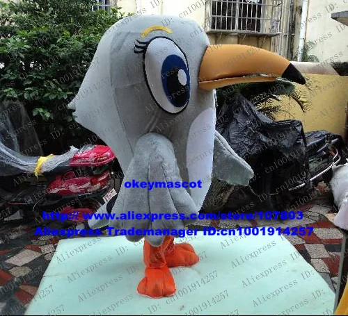 Cerdik Abu Abu Pelatuk Hickwall Toco Toucan Rangkong Toucan Burung