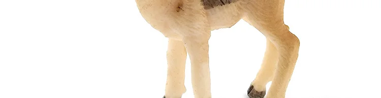 -10--DW-M-MY89-114-120_38