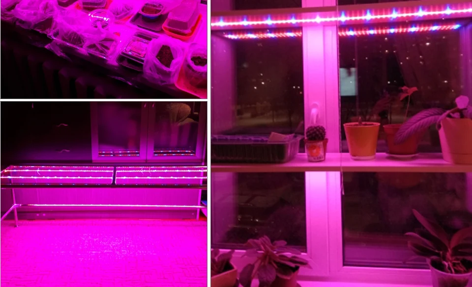 Plant Grow Lights Full Spectrum LED Strip 12V Flowers Phyto Lamp 5M Dimmable Red Blue For Greenhouse Hydroponic + Power Adapter (14)