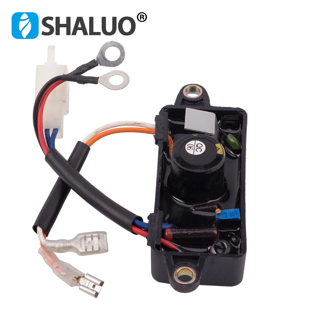 3KW gas AVR (6)