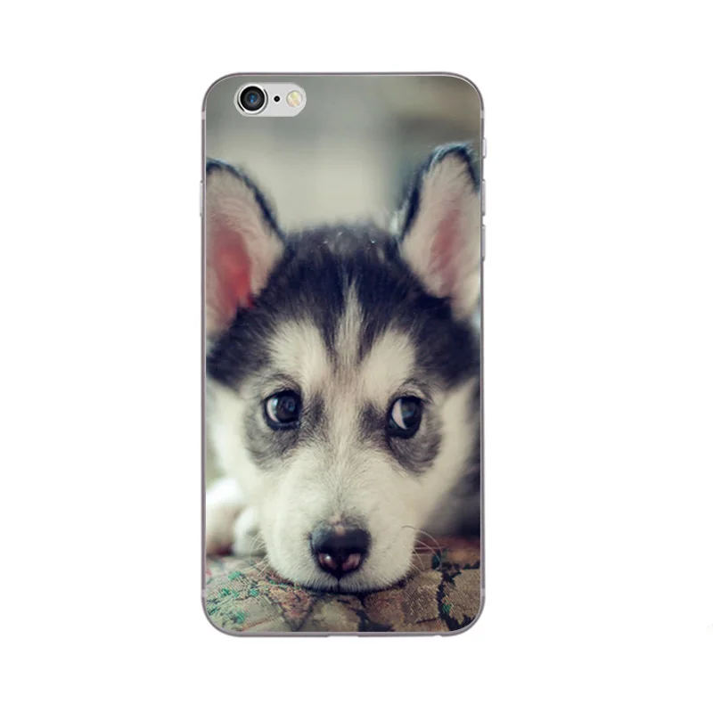 Чехол для телефона Apple iPhone 5 5C SE 6 6 S Plus задняя крышка 4,7 5,5 дюйма Wacky Husky разноцветный дизайн Мягкий защитный чехол из ТПУ - Цвет: 6095 4