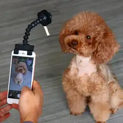 Pet палка для селфи мобильного телефона Портативный фотографирования ПЭТ палку аксессуары для собак кошек взять селфи игрушка телефон