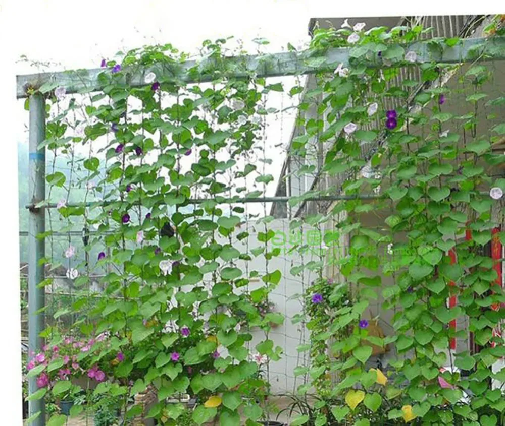 5 9ft X 1 8x1 8 Meters Durable Nylon Trellis Net Garden 5 9ft X 1 8x1 8 Meters Durable Nylon Trellis Net Garden Netting Plant Support For Climbing Plants In Shade Accessories From Home On