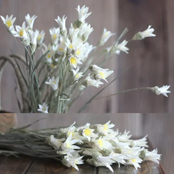

10 Pieces A Lot Lilies Natural Dried Flowers Plant Combination Art White Lily Romantic Gift Home Decoration Material Shooting