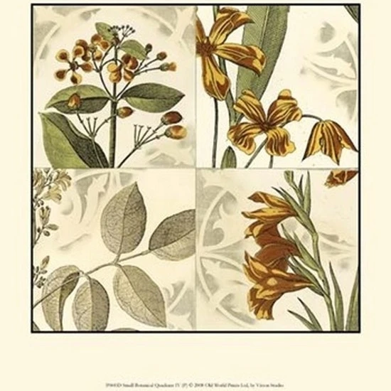 Small Botanical Quadrant IV (P) Poster Print by Vision studio (10 x 13)