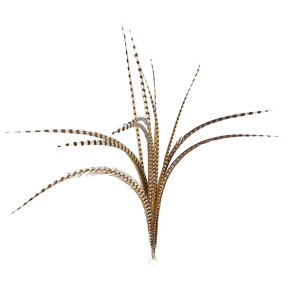 natural-venery-pheasant-feather-tail-vp50--n-main