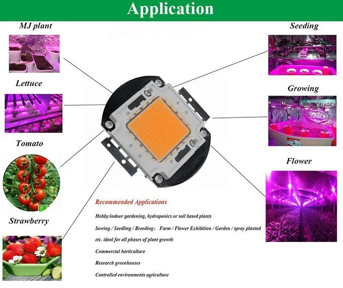 /Гидропоника 10 Вт/20 Вт/30 Вт/50 Вт/100 Вт светодиодный чип для выращивания. Epistar светодиодный чип, полный спектр 400нм-840нм для выращивания растений в помещении